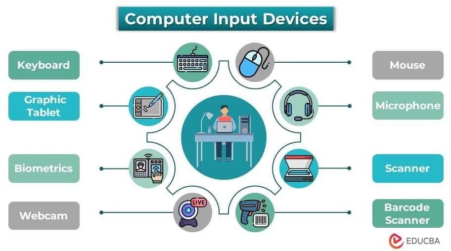 Understanding Input Methods: How Computers Receive and Process Data